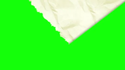 Piece Looping Transparent Background Animation Stock-Footage 345498568