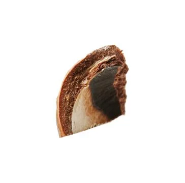 Piece of macadamia nut shell isolated on white Foto stock