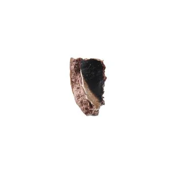 Piece of macadamia nut shell isolated on white Foto stock