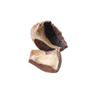 Piece of macadamia nut shell isolated on white Foto stock