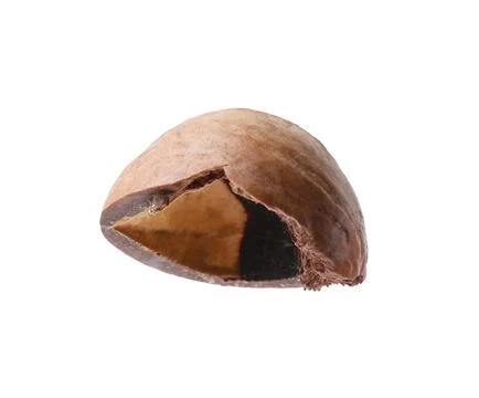 Piece of macadamia nut shell isolated on white Foto stock