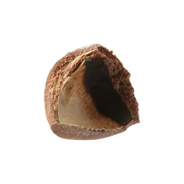 Piece of macadamia nut shell isolated on white Foto stock
