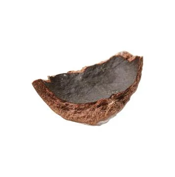 Piece of macadamia nut shell isolated on white Foto stock