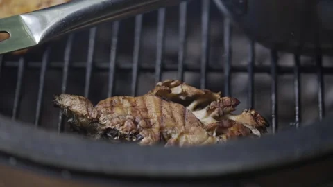 A piece of meat is being cooked on a grill Stock Footage 301630128