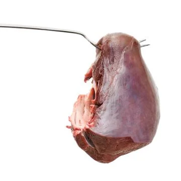 Piece of meat on fork 写真素材