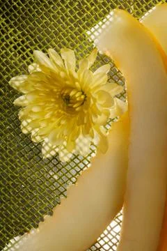 Piece of melon with chrysanthemum Stock Photos