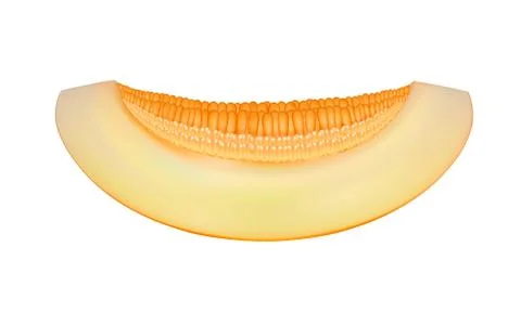 Piece of melon isolated on white background vector illustration Illustrazione stock