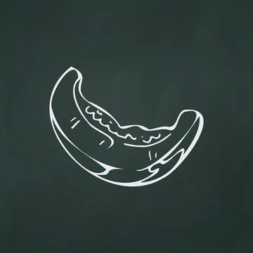 Piece of melon thin white lines on a textural dark background - Vector Stock Illustration