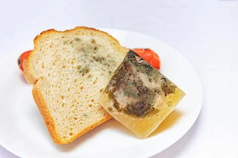 A piece of moldy bread sits next to jelly on a white plate placed on a kitche Stock Photos