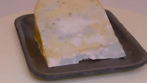 Piece of moldy Cheese Stock Footage 243360341