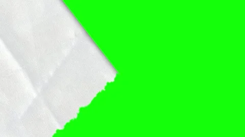 Piece Motion Transparent Background Animation Video stock 346206806