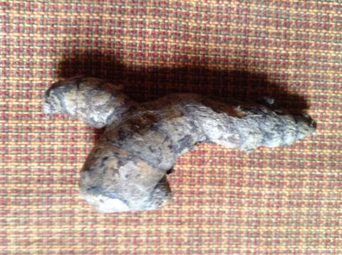 A Piece of Native Ginger Stock Photos