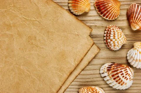 A piece of paper and seashells on old wooden board Stock Photos