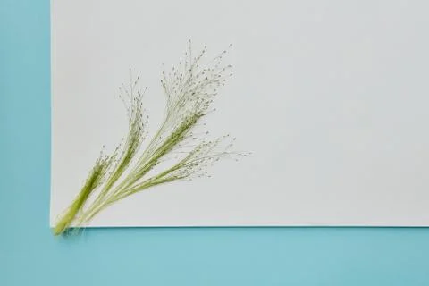 Piece of paper for text Stock-Fotos