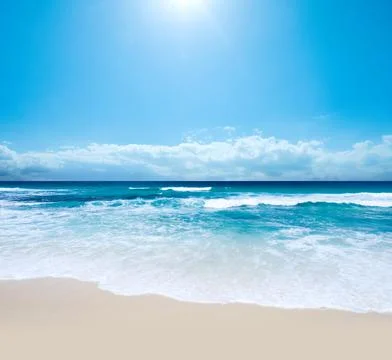 A Piece of Paradise 写真素材