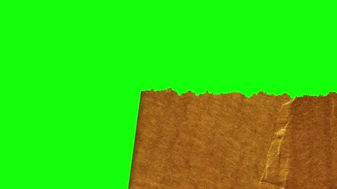 Piece Professional on Chroma Key for Compositing Video stock 345498262