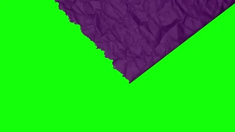 Piece Professional on Chroma Key for Compositing Video stock 345498704