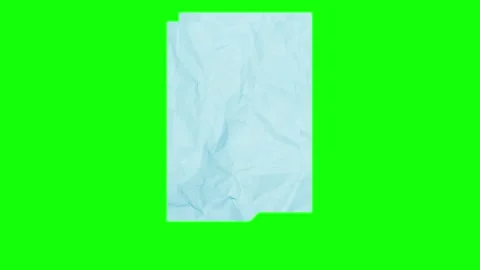 Piece Professional on Chroma Key for Compositing Stock Footage 346201724
