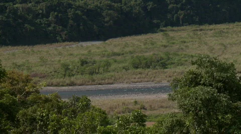 Piece of river streaming through pebbles  Video stock 609499