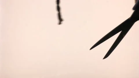 A piece of rope cut with scissors. Stock Footage 137374223