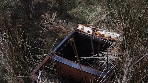 Piece of rusty metal lying in the grass, illegal dump of garbage Stock Footage 105685606