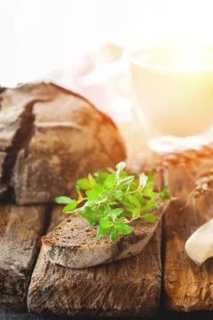 A piece of rye bread with a bunch of thyme and a glass glass of fresh milk on Stock Photos