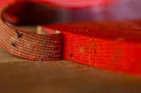 Piece solid red Pesto cheese Basiron Foto stock