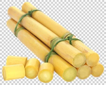 Piece of sugarcane Stock Photos
