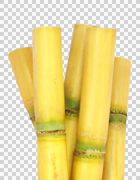 Piece of sugarcane Stock Photos