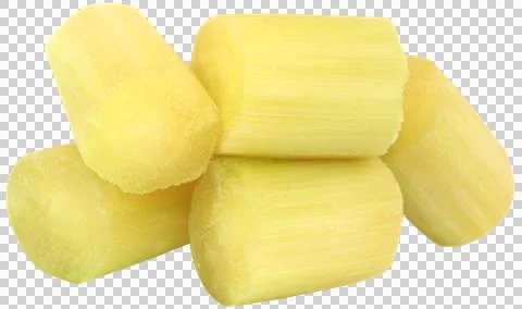 Piece of sugarcane Stock Photos