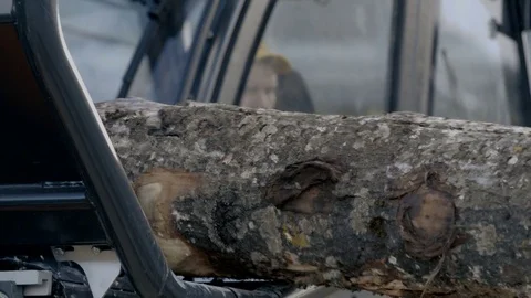 Piece of timber getting into bandsaw Stock Footage 71165319