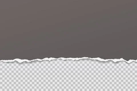 Piece of torn and horizontal dark grey paper with soft shadow is on squared Stock Illustration