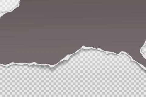 Piece of torn and horizontal dark grey paper with soft shadow is on squared Stock Illustration