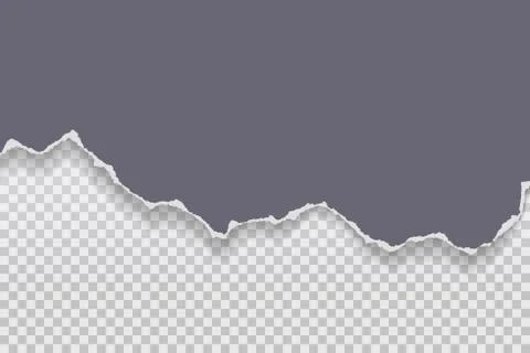 Piece of torn and horizontal dark grey paper with soft shadow is on squared Stock Illustration