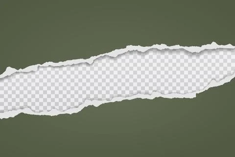 Piece of torn dark green horizontal paper with soft shadow stuck on white Stock Illustration
