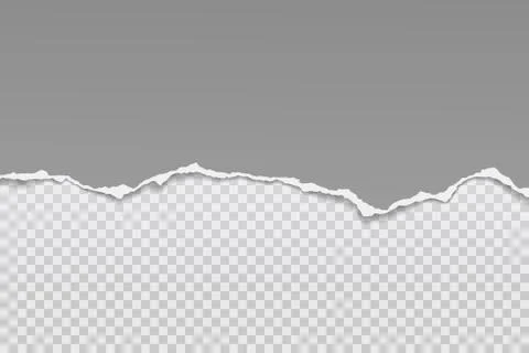 Piece of torn grey horizontal paper with soft shadow is on squared background Stock Illustration