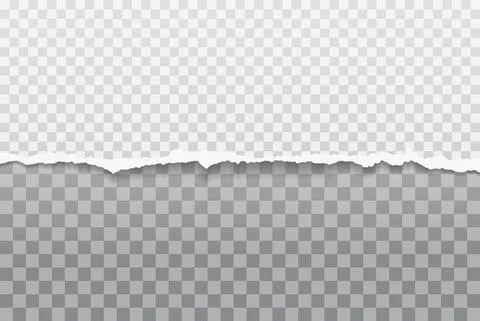 Piece of torn, ripped horizontal white paper with soft shadow is on squared Stock Illustration