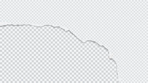 Piece of torn, ripped white squared paper is on transparent background for text Stock Illustration