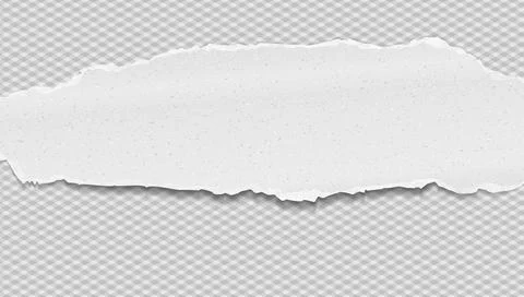 Piece of torn white horizontal grainy paper strip with soft shadow is on squared Stock Illustration