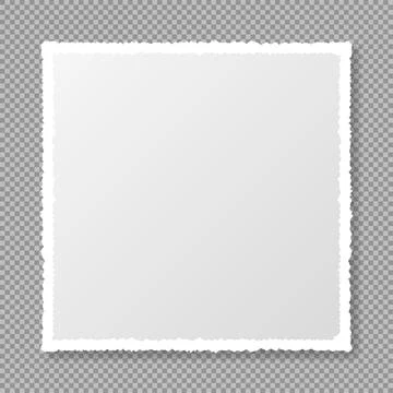 Piece of torn, white realistic square paper strip with soft shadow is on squa Stock Illustration