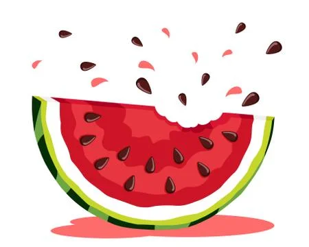 Piece of watermelon with bites, on a white background. 스톡 일러스트