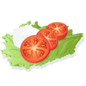 Piece of white mozzarella isolated. Stock Illustration