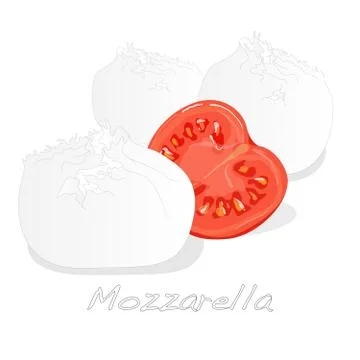 Piece of white mozzarella isolated. Stock Illustration