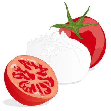 Piece of white mozzarella isolated. Stock Illustration
