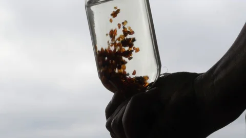 Pieces of amber in a bottle on those cloudy skies Stock Footage 115159156