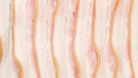 Pieces of bacon on a black background. Stock Footage 142230813