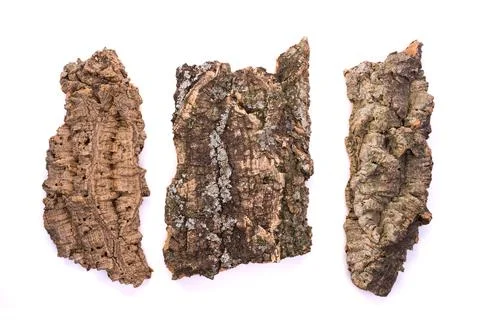 Pieces of bark 写真素材