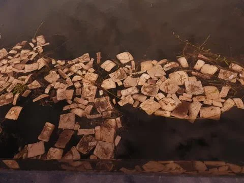 Pieces of bread in the water. 写真素材