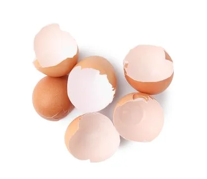 Pieces of broken eggshells isolated on white, above view 스톡 사진