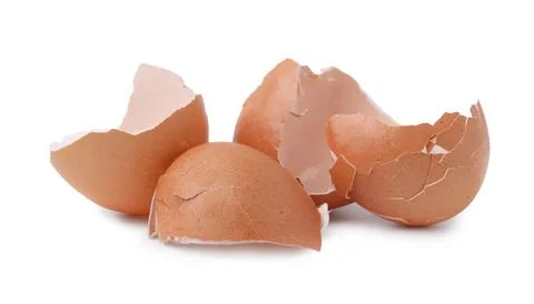 Pieces of broken eggshells isolated on white 스톡 사진
